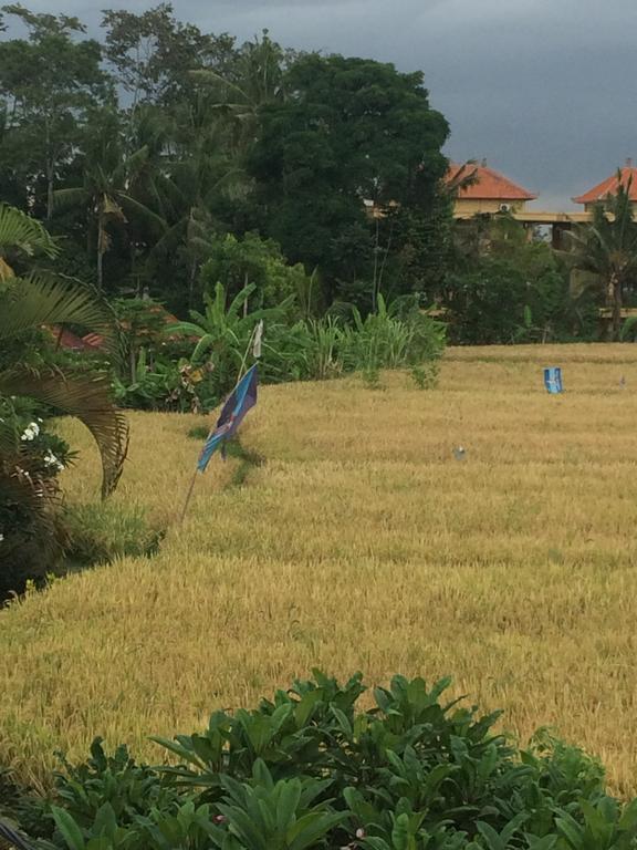 Ferienwohnung Pangkung House Ubud Exterior foto